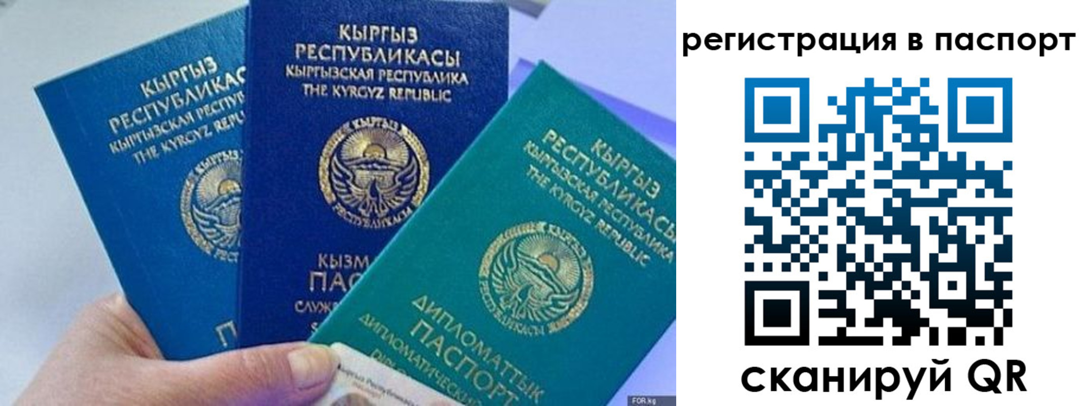 прописка 2025 в Лермонтове